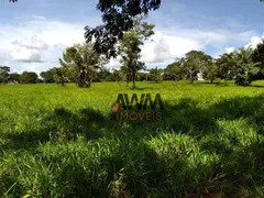 Fazenda / Sítio / Chácara à venda, 2758800m² no Zona Rural, Jussara - Foto 10