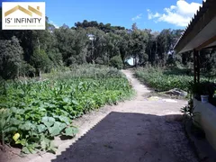 Fazenda / Sítio / Chácara com 3 Quartos à venda, 20000m² no Espigão das Antas, Mandirituba - Foto 37