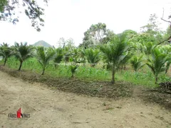 Fazenda / Sítio / Chácara com 4 Quartos à venda, 183000m² no Zona Rural, Rio Bonito - Foto 18