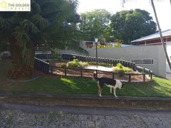 Fazenda / Sítio / Chácara com 3 Quartos à venda, 337m² no Chácaras São Bento, Valinhos - Foto 13