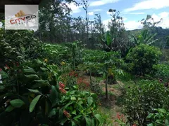 Fazenda / Sítio / Chácara com 1 Quarto à venda, 200m² no Lagoa, Itapecerica da Serra - Foto 22