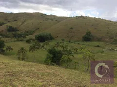 Fazenda / Sítio / Chácara com 6 Quartos à venda, 1175000m² no , Casimiro de Abreu - Foto 4