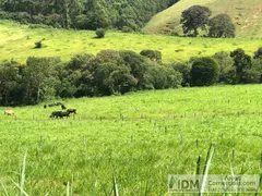 Terreno / Lote / Condomínio à venda, 10000000m² no Centro, Paraisópolis - Foto 15