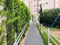 Apartamento com 2 Quartos para alugar, 43m² no Recreio São Judas Tadeu, São Carlos - Foto 4