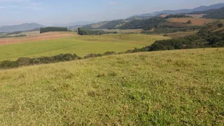 Fazenda / Sítio / Chácara com 2 Quartos à venda, 75m² no Zona Rural, Lambari - Foto 27