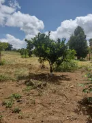 Fazenda / Sítio / Chácara à venda, 20000m² no Paranoá, Brasília - Foto 3