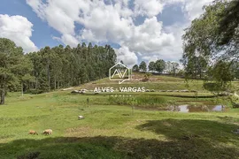Fazenda / Sítio / Chácara com 4 Quartos à venda, 300m² no Jardim da Colina, Campina Grande do Sul - Foto 46