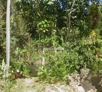 Terreno / Lote / Condomínio à venda, 650m² no Estufa II, Ubatuba - Foto 6