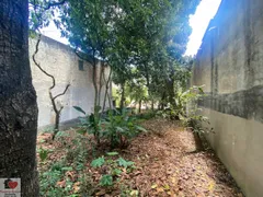Terreno / Lote / Condomínio à venda, 300m² no Vila Mascote, São Paulo - Foto 2