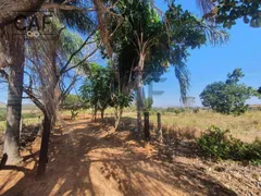 Fazenda / Sítio / Chácara com 3 Quartos à venda, 350m² no Guedes, Jaguariúna - Foto 29