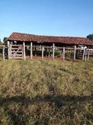 Fazenda / Sítio / Chácara à venda no Zona Rural, Urucuia - Foto 17