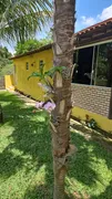 Fazenda / Sítio / Chácara com 5 Quartos à venda, 125000m² no Nova Colina, Brasília - Foto 39