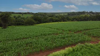 Fazenda / Sítio / Chácara à venda, 20000m² no Zona Rural, Jaboticatubas - Foto 8