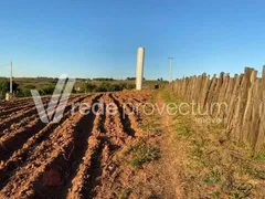 Fazenda / Sítio / Chácara com 3 Quartos à venda, 250m² no Reforma Agraria, Valinhos - Foto 12