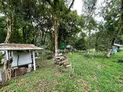 Fazenda / Sítio / Chácara com 3 Quartos à venda, 166m² no Palmitalzinho, Quatro Barras - Foto 30