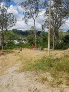 Terreno / Lote / Condomínio à venda, 1150m² no Colônia Santo Antônio, Barra Mansa - Foto 2