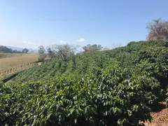 Fazenda / Sítio / Chácara à venda no Zona Rural, Ouro Fino - Foto 4