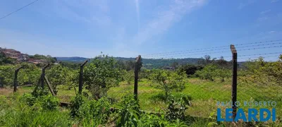 Fazenda / Sítio / Chácara com 2 Quartos à venda, 200m² no Jardim Portugal, Valinhos - Foto 4