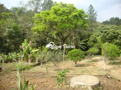 Fazenda / Sítio / Chácara com 2 Quartos à venda, 1280m² no Cachoeira, Santa Isabel - Foto 15