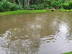 Fazenda / Sítio / Chácara com 4 Quartos à venda, 4000m² no Zona Rural, Igarapé - Foto 25