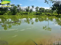 Fazenda / Sítio / Chácara com 2 Quartos à venda, 20000m² no Zona Rural, Bela Vista de Goiás - Foto 1