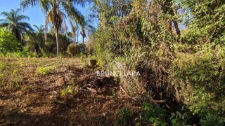 Terreno / Lote / Condomínio à venda, 1080m² no Nossa Senhora da Paz, São Joaquim de Bicas - Foto 4