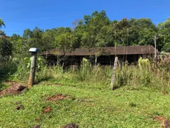 Fazenda / Sítio / Chácara com 3 Quartos à venda, 460000m² no , Alto Feliz - Foto 6