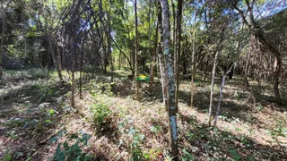 Terreno / Lote / Condomínio à venda no Condomínio Recanto da Serra, Brumadinho - Foto 3