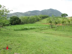 Fazenda / Sítio / Chácara com 4 Quartos à venda, 183000m² no Zona Rural, Rio Bonito - Foto 39