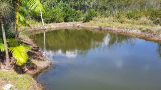 Fazenda / Sítio / Chácara com 4 Quartos à venda, 430000m² no Zona Rural, Conde - Foto 42