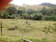 Fazenda / Sítio / Chácara com 4 Quartos à venda, 240m² no Providencia, Teresópolis - Foto 10