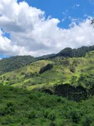 Fazenda / Sítio / Chácara à venda, 290000m² no Centro, Piranguçu - Foto 3