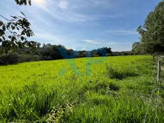 Fazenda / Sítio / Chácara com 3 Quartos à venda, 230m² no Zona Rural, São Sebastião do Oeste - Foto 85