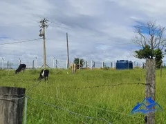 Fazenda / Sítio / Chácara com 2 Quartos à venda, 22000m² no Centro, Indaiatuba - Foto 16