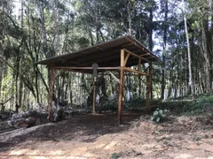 Fazenda / Sítio / Chácara com 1 Quarto à venda, 50m² no Centro, Bocaiúva do Sul - Foto 7