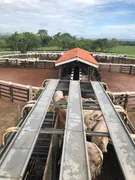 Fazenda / Sítio / Chácara à venda no Zona Rural, Rosário Oeste - Foto 5