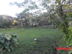 Fazenda / Sítio / Chácara com 2 Quartos à venda, 114m² no Martinica, Viamão - Foto 6