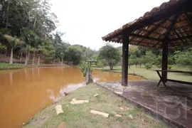 Fazenda / Sítio / Chácara com 3 Quartos à venda, 2500m² no Araguaia, Marechal Floriano - Foto 13