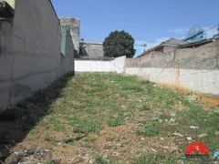 Terreno / Lote / Condomínio para venda ou aluguel, 358m² no Vila Tolstoi, São Paulo - Foto 8