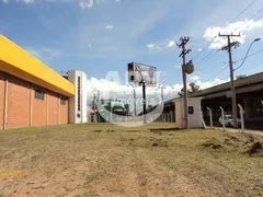 Galpão / Depósito / Armazém para alugar, 1000m² no Centro, Sapucaia do Sul - Foto 5