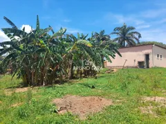 Fazenda / Sítio / Chácara com 4 Quartos à venda, 443m² no Nossa Senhora da Paz, São Joaquim de Bicas - Foto 54