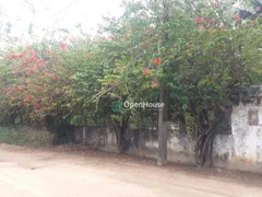 Fazenda / Sítio / Chácara com 3 Quartos para venda ou aluguel, 9000m² no Ferreiro Torto, Macaíba - Foto 3