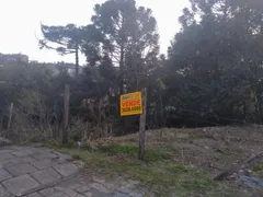 Terreno / Lote Comercial à venda no Parque dos Vinhedos, Caxias do Sul - Foto 2