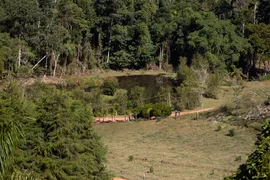Fazenda / Sítio / Chácara com 10 Quartos à venda, 21000000m² no Zona Rural, Castelo - Foto 29