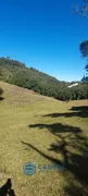 Fazenda / Sítio / Chácara com 3 Quartos à venda, 100m² no Vila Seca, Caxias do Sul - Foto 10