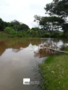 Fazenda / Sítio / Chácara com 3 Quartos à venda, 605m² no Zona Rural, Ouro Verde de Goiás - Foto 21