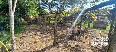 Fazenda / Sítio / Chácara com 2 Quartos à venda, 120m² no Vila Menino Jesus, Caçapava - Foto 10