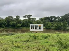 Fazenda / Sítio / Chácara com 3 Quartos à venda, 150m² no Zona Rural, São Valério da Natividade - Foto 3