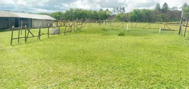 Fazenda / Sítio / Chácara com 6 Quartos à venda, 20000m² no Nucleo Rural Lago Oeste, Brasília - Foto 50