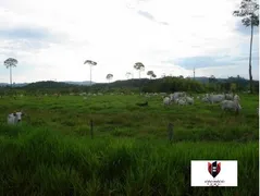 Fazenda / Sítio / Chácara com 20 Quartos à venda, 149000000m² no Zona Rural, Rondolândia - Foto 16
